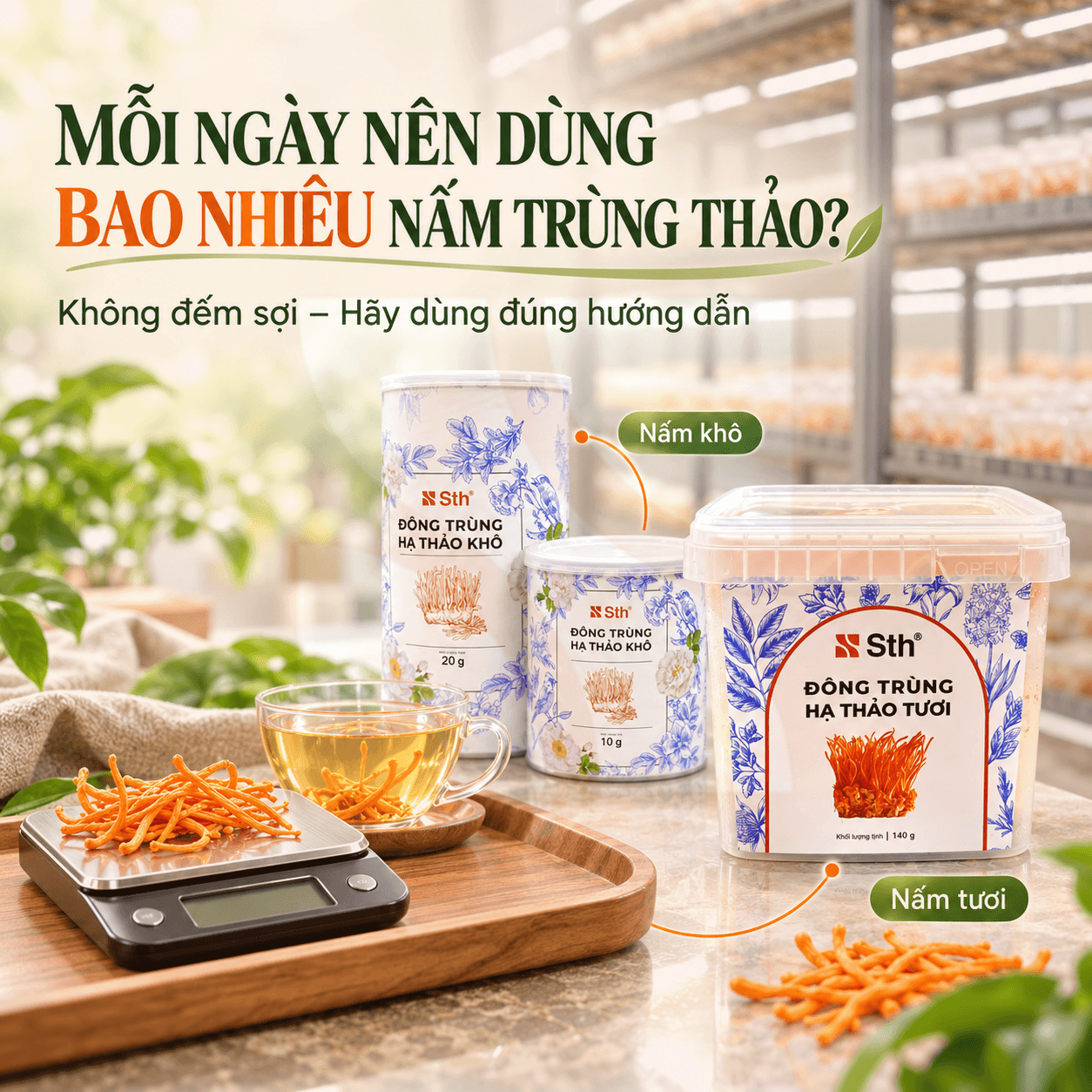 Mỗi Ngày Nên Dùng Bao Nhiêu Nấm Trùng Thảo